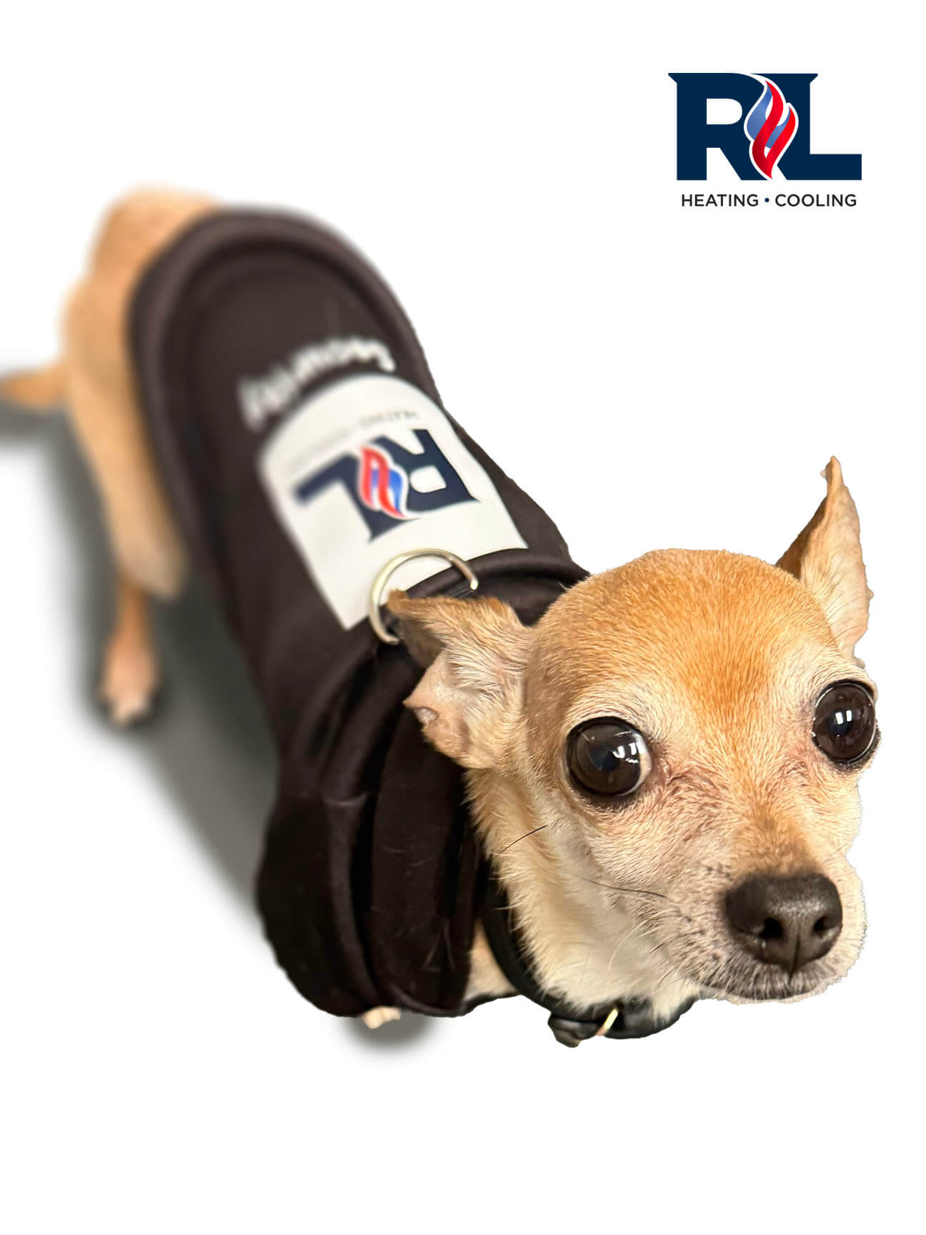 R&L Heating and Cooling Team